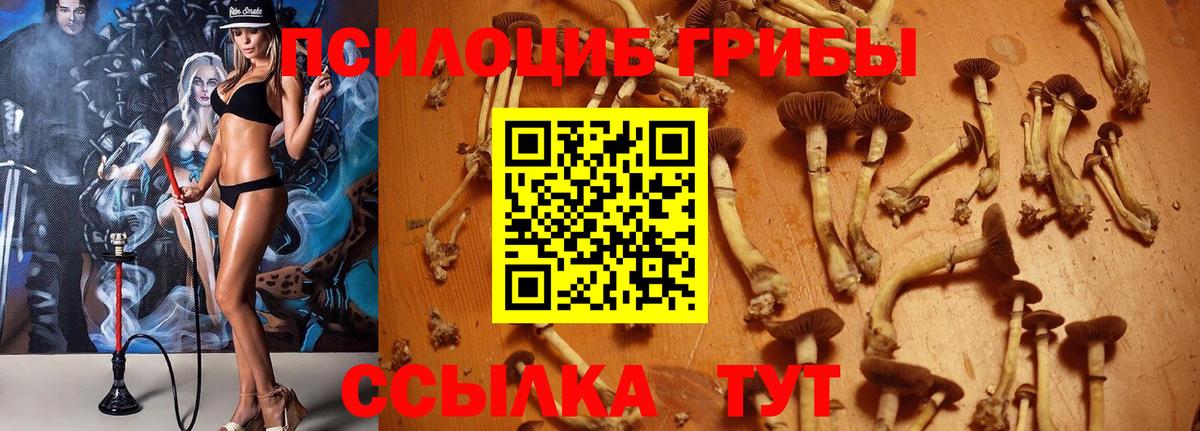 Галлюциногенные грибы прущие грибы  Галлюциногенные грибы Magic Shrooms  Ростов-на-Дону  Вход с VPN 